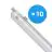 Multipack 10x Philips LED Waterproof Batten CoreLine WT120C 42.9W 6000lm - 840 Cool White | 150cm